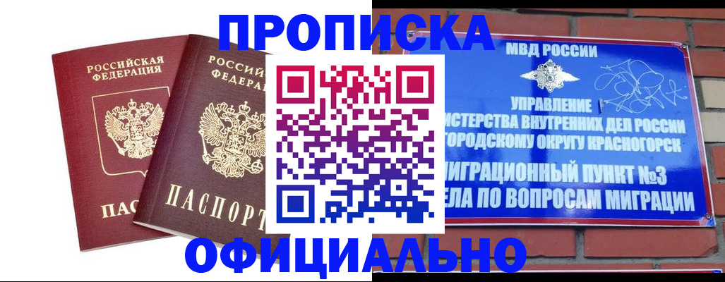 временная регистрация адрес в Дальнегорске